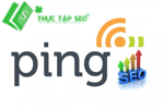 Ping URL là gì-Cách sử dụng Ping