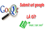 Submit URL là gì-Cách Submit website của bạn đến Google